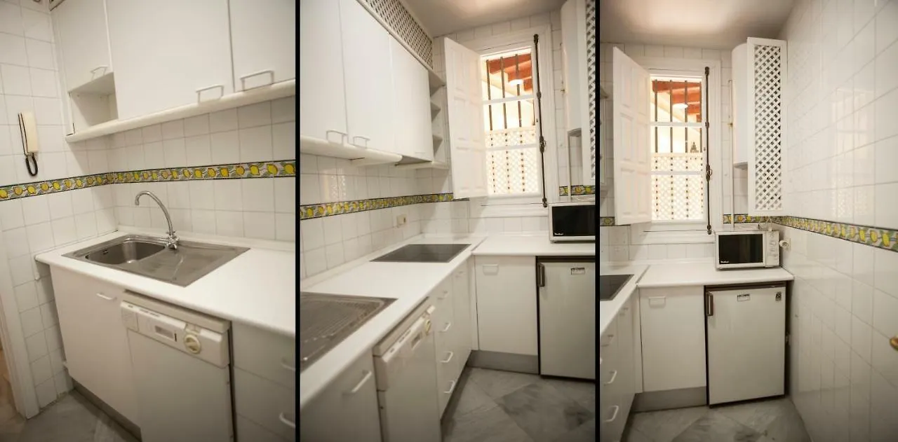 Catedral, Gran Patio, Pleno Centro Apartment Seville Spain